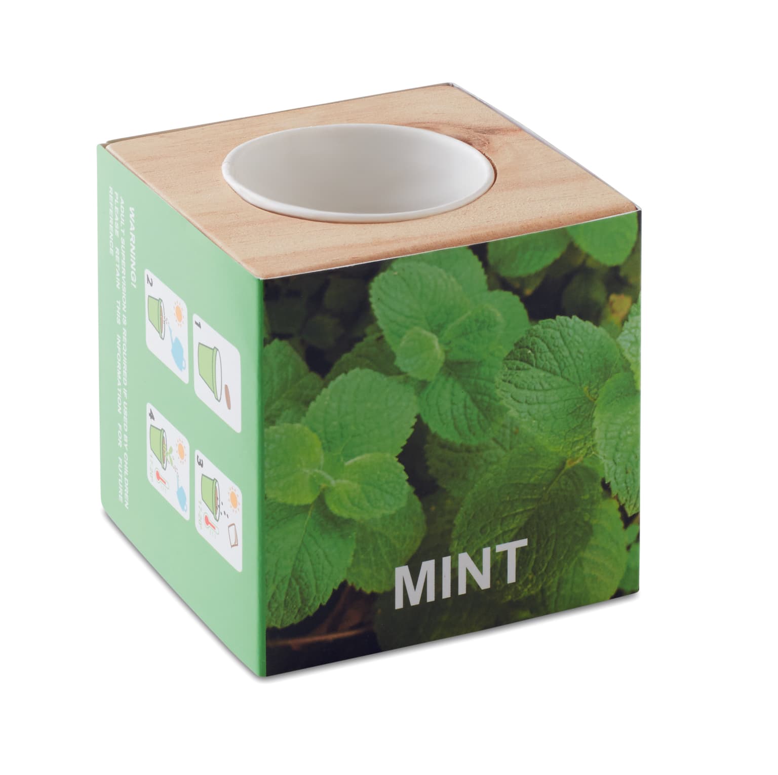 MENTA
